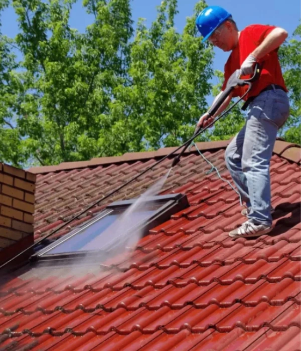About Roof Cleaning Services