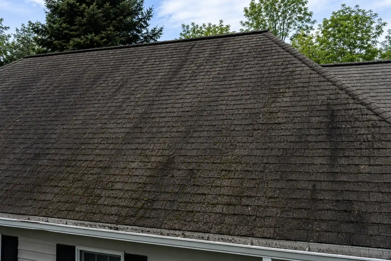 soft-roof Before of soft washing roof