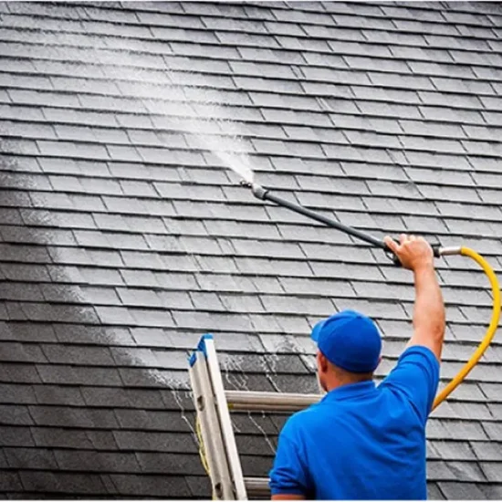 Roof Soft Washing
